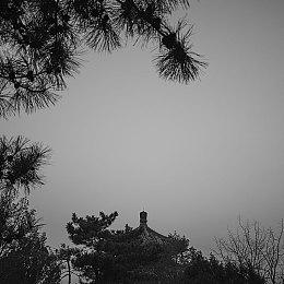 《VALORANT》3.10版本更新 新特工钱博尔正式上线